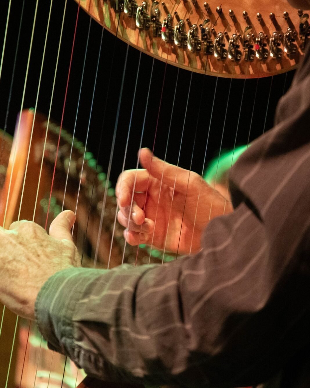 540846314_798136509243998_5443337482232846159_n Noaptea Culturii 2025 Irlanda: evenimente gratuite, recomandări Informația IRL