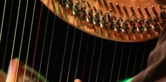 Noaptea Culturii 2025: Cele mai bune evenimente gratuite din Irlanda (vineri, 19 septembrie) Noaptea Culturii 2025 Irlanda: evenimente gratuite, recomandări Informația IRL