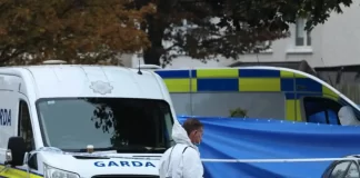Bărbat român din Iași găsit mort într-o mașină incendiată în Tallaght – Garda investighează o posibilă tragedie personală român Tallaght